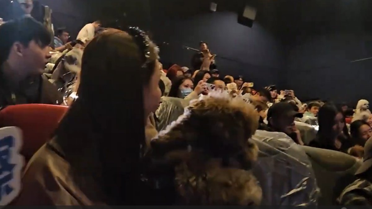 Diversos gossos sent aixecats pels seus amos a un cinema de la Xina