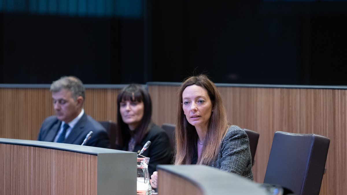 La ministra Helena Mas ahir al Consell General.