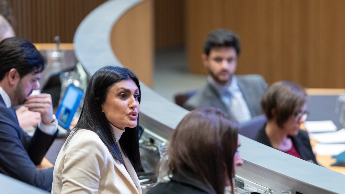 Montaner, en primer pla, ahir al Consell General.