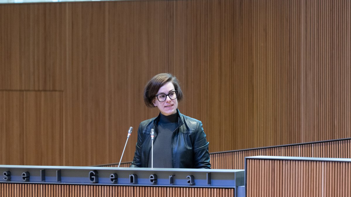 La consellera de Concòrdia Núria Segués durant la sessió del Consell General aquest matí