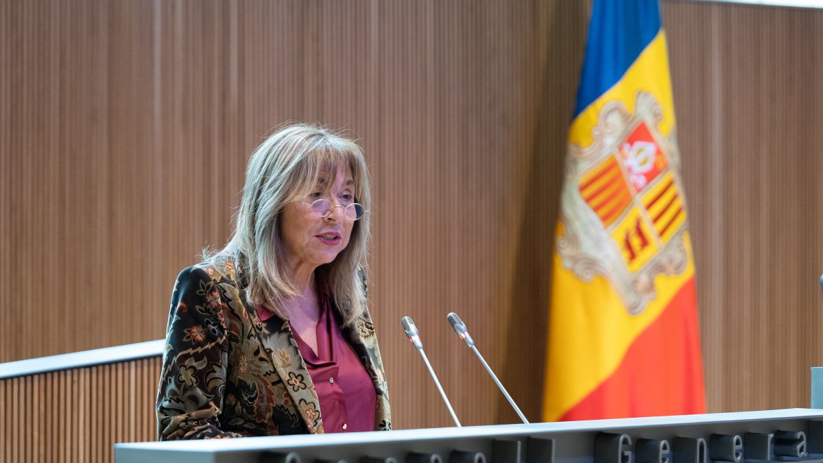 La ministra Conxita Marsol en el debat del Consell General aquest matí.