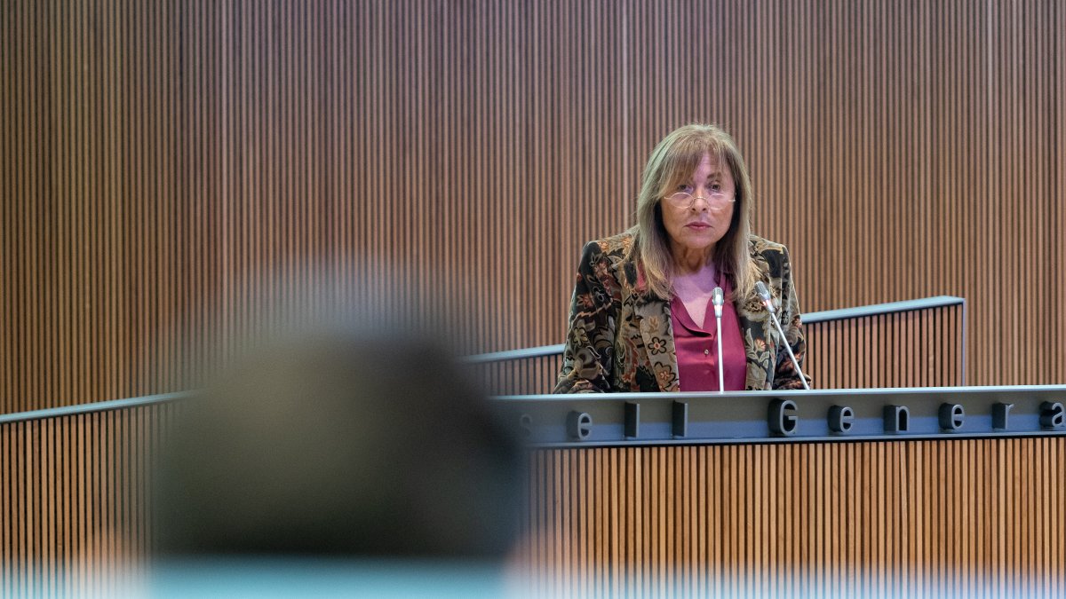 Marsol dirigint-se a Pere Baró, ahir al Consell.