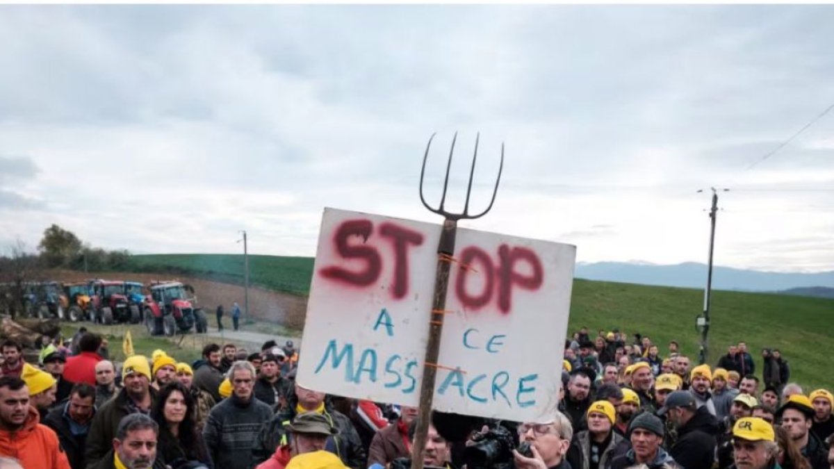 Els manifestants continuen amb les reivindicacions.