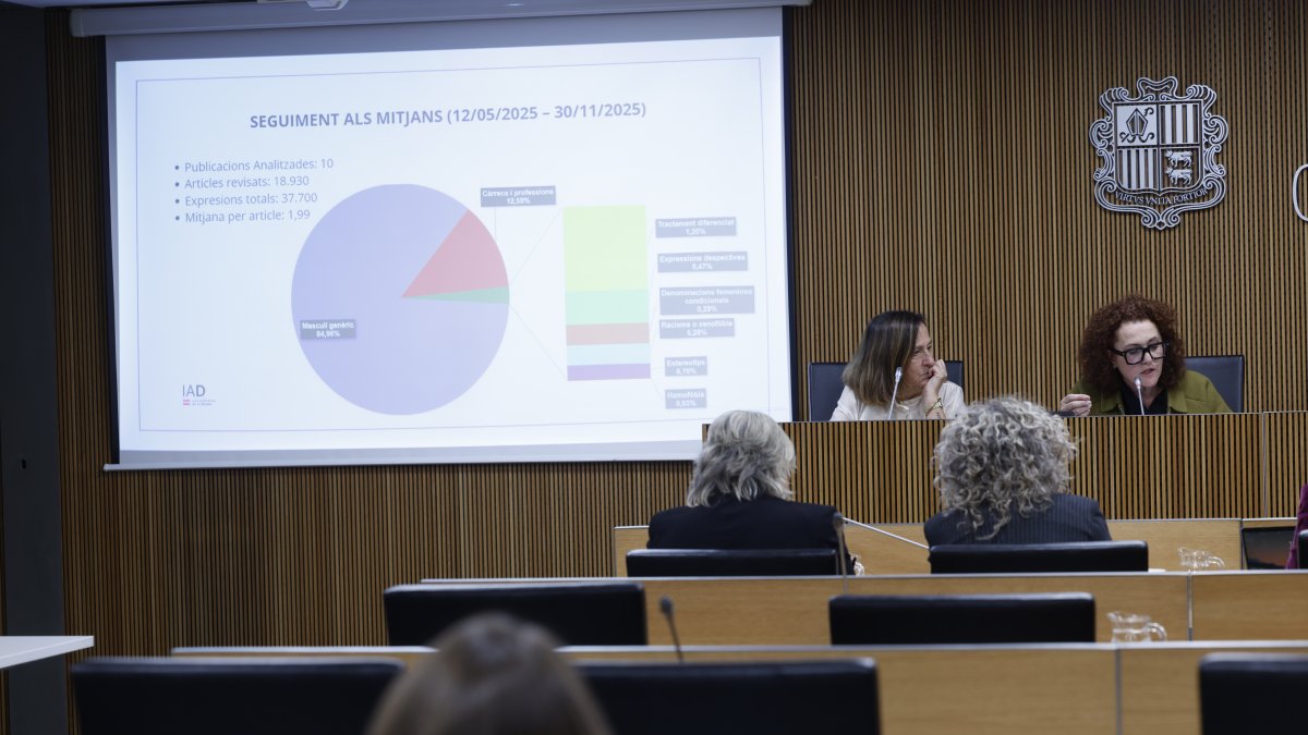 Judith Pallarés en la compareixença avui al Consell General