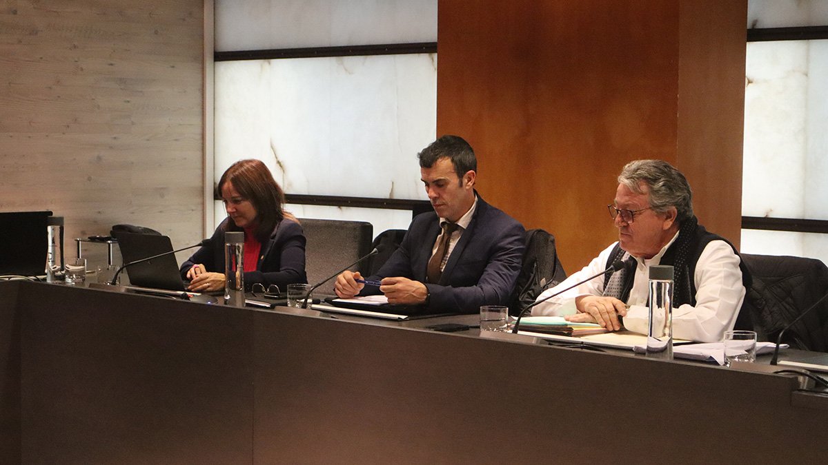 Albós i Dolsa durant la sessió de consell de comú.