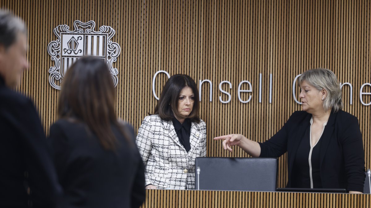 Imma Tor, avui, a la compareixença al Consell General.