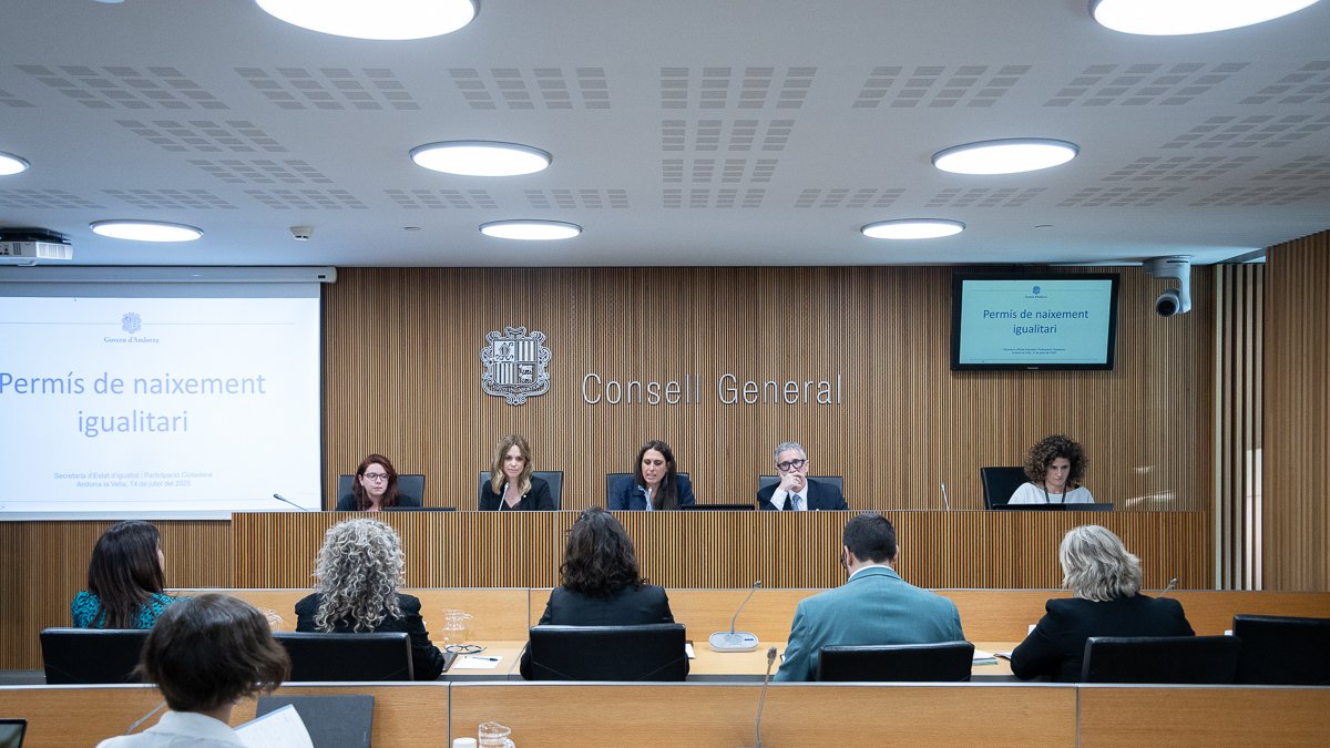 Mariona Cadena va presentar el projecte de llei als consellers.