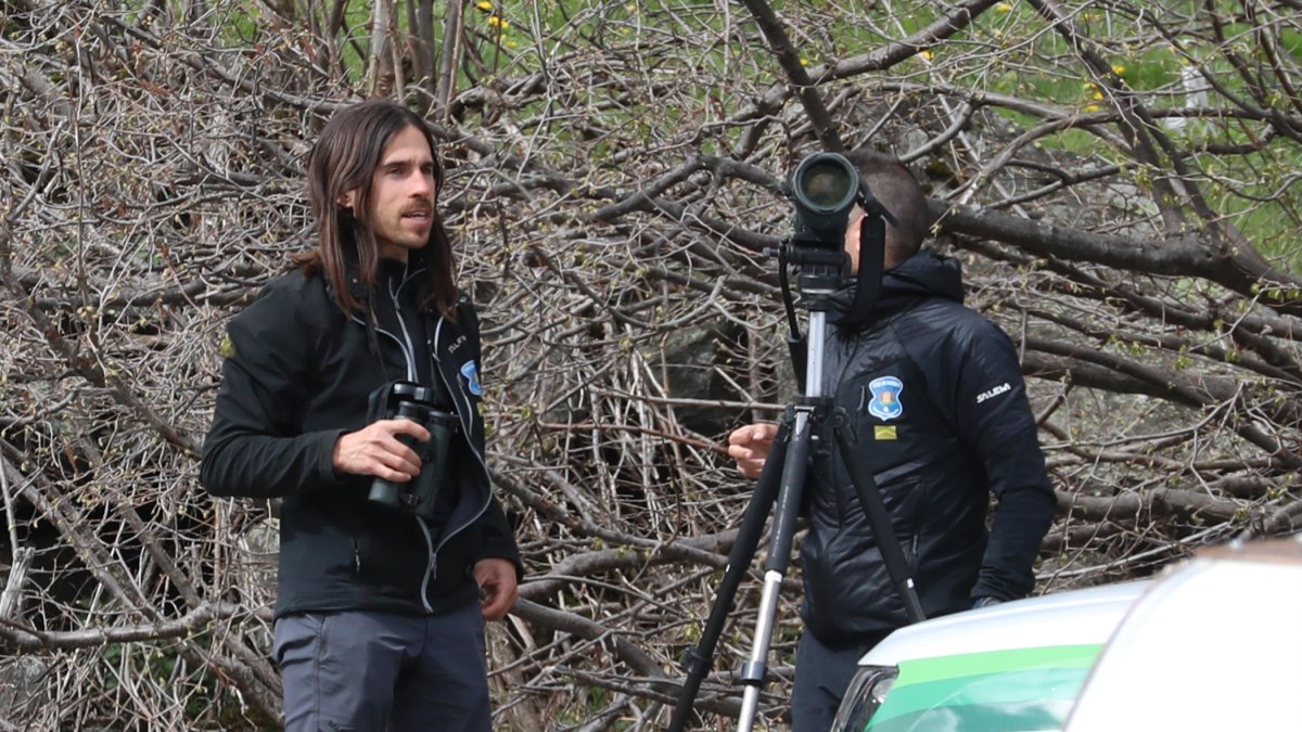 Els banders van localitzar un gos compatible amb la descripció.