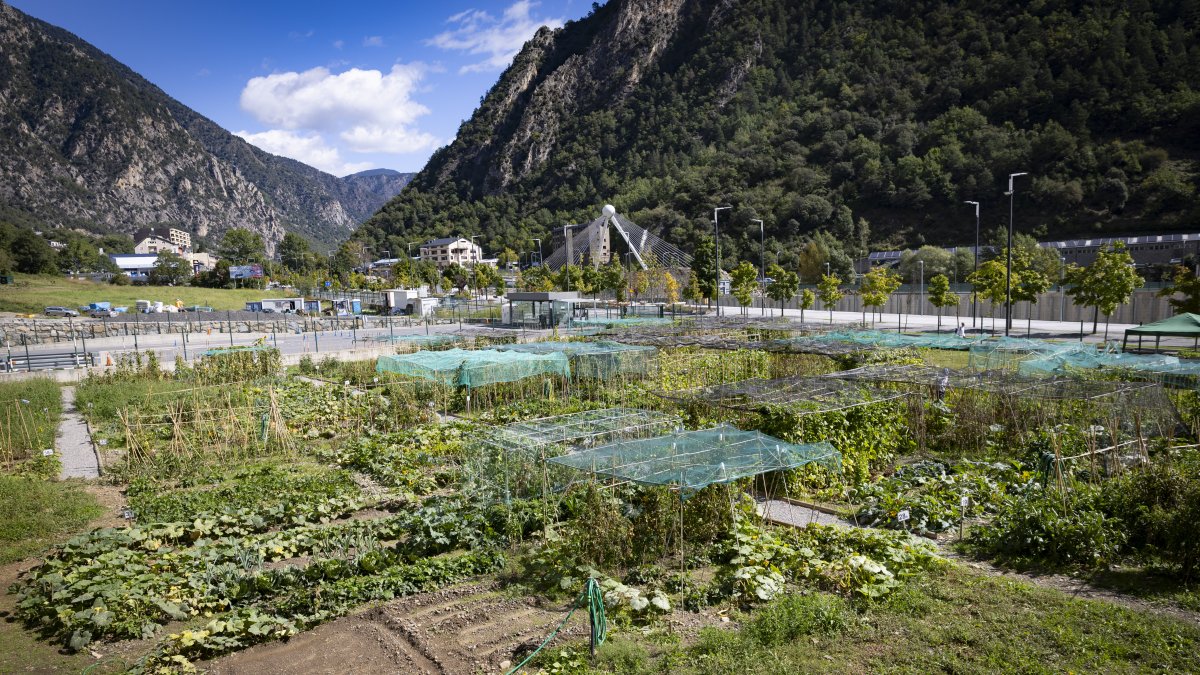 Imatge dels horts de la Margineda