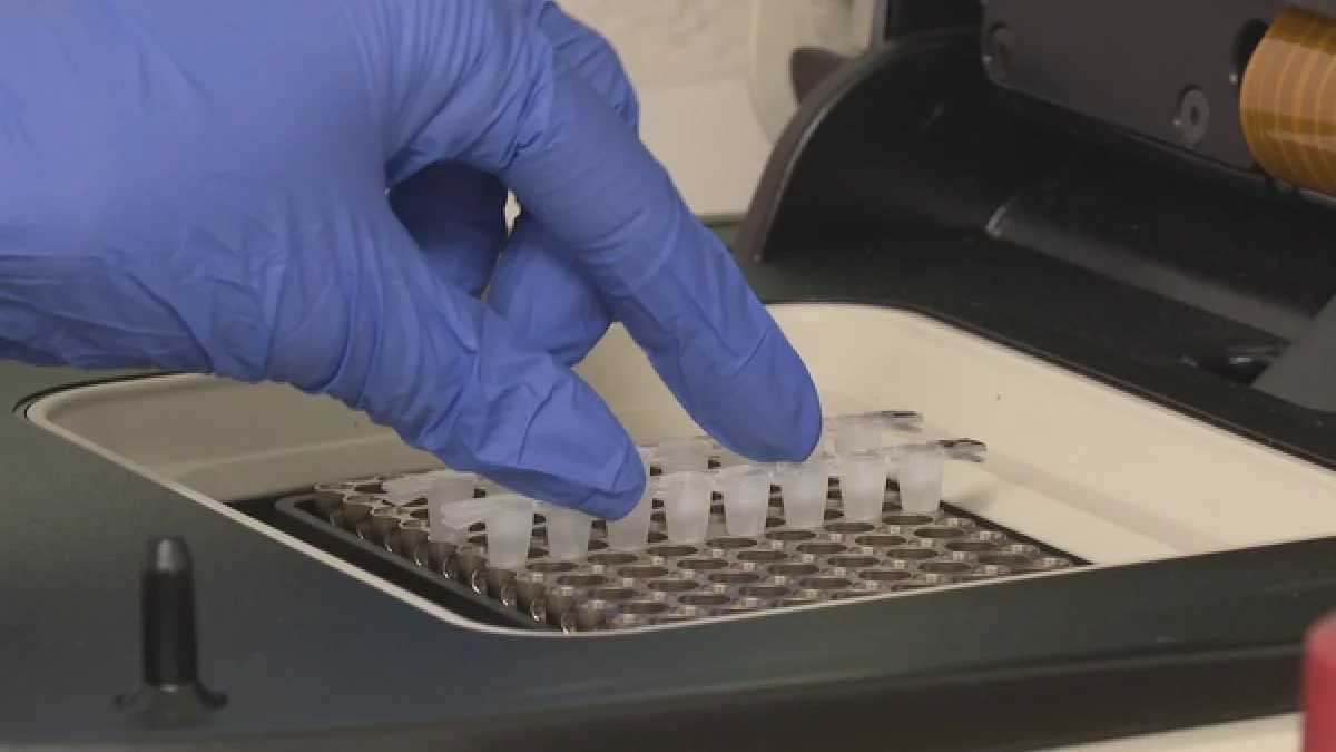 Laboratori Nacional d'Epidemiologia