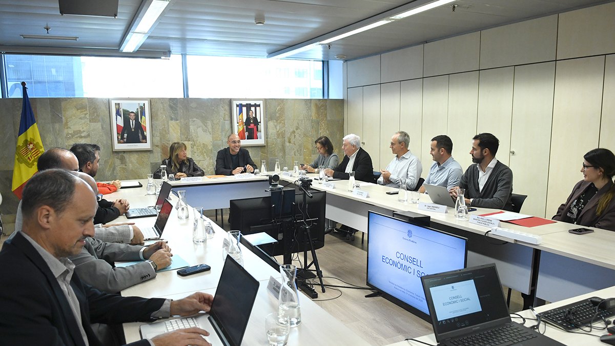 Una reunió del Consell Econòmic i Social.