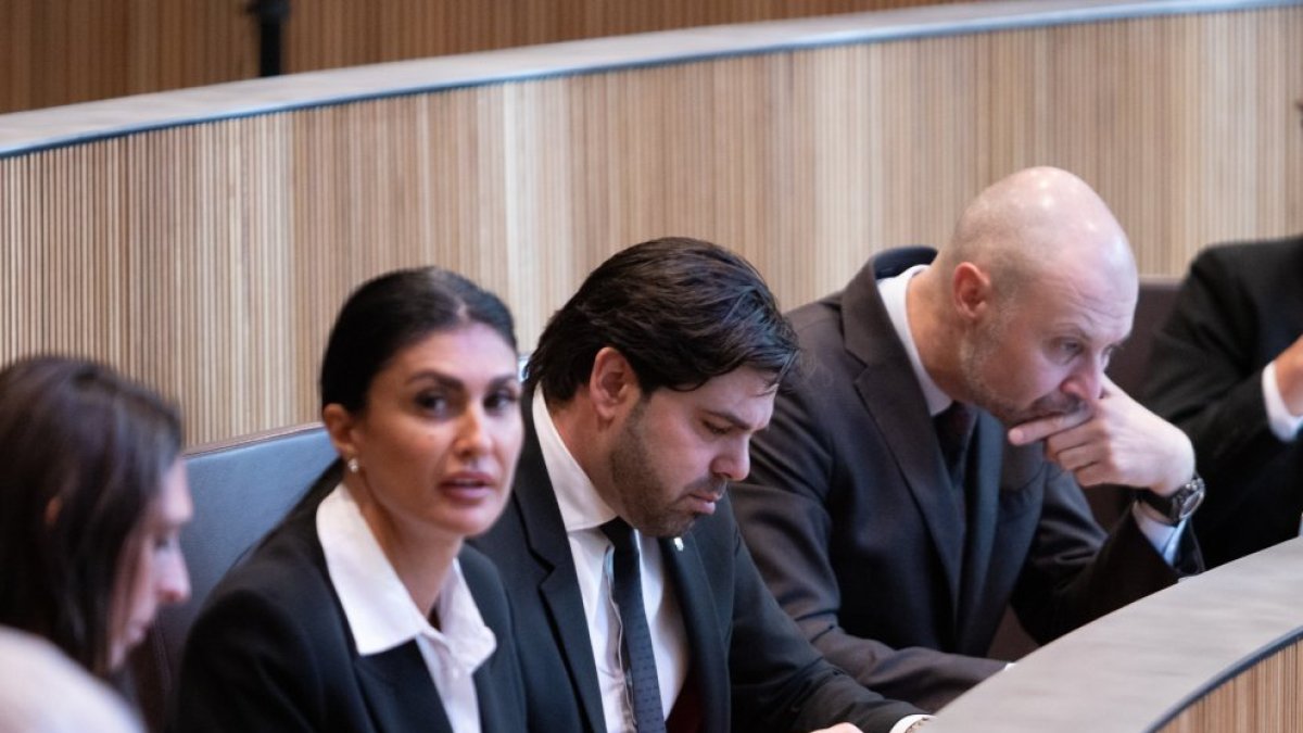 El grup parlamentari d’Andorra Endavant.