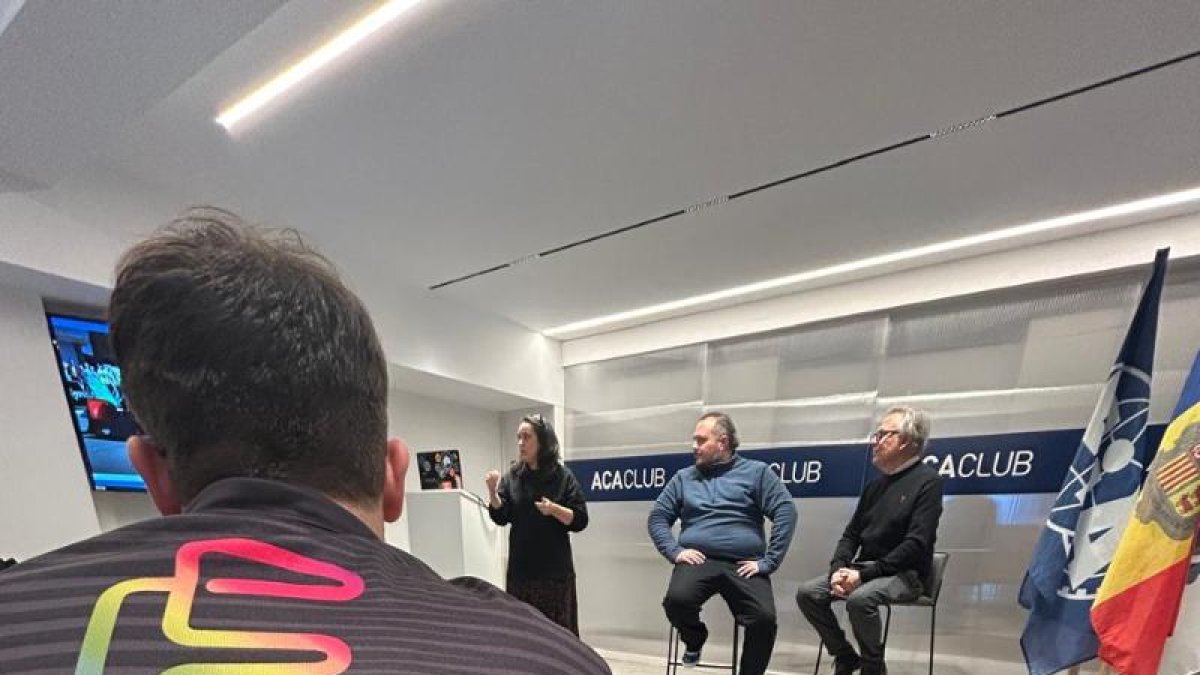 Campionat automobilisme virtual.