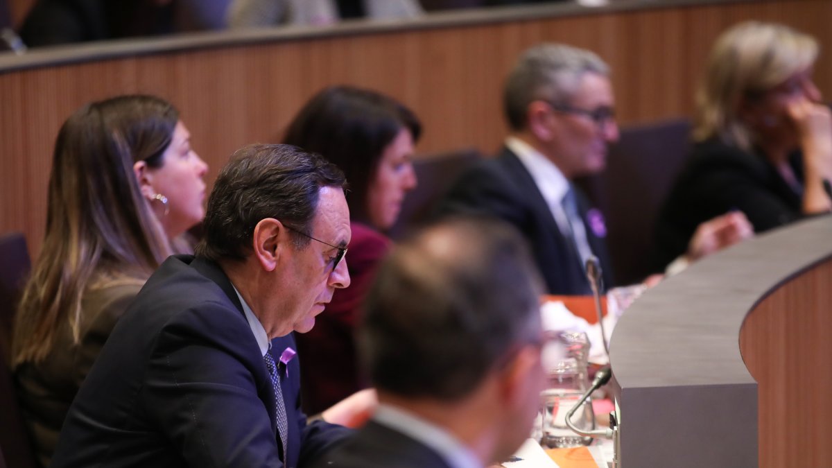 El grup parlamentari demòcrata.