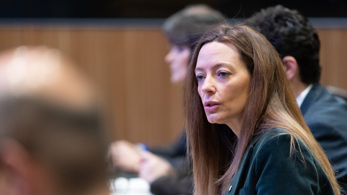 Helena Mas avui al Consell General