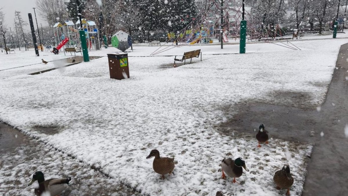 Neu al Parc Central.