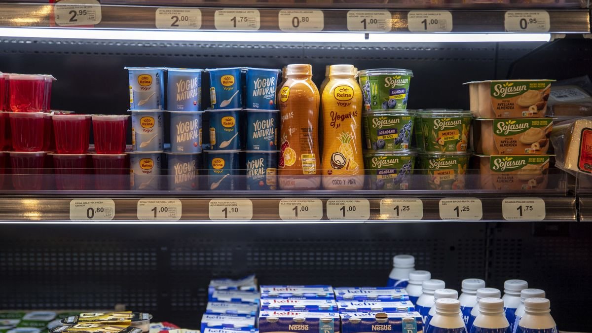 Diferents modalitats de productes làctics.