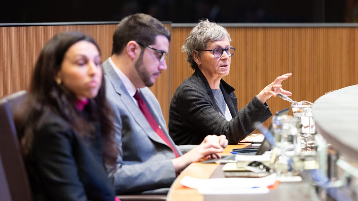 El grup parlamentari socialdemòcrata.