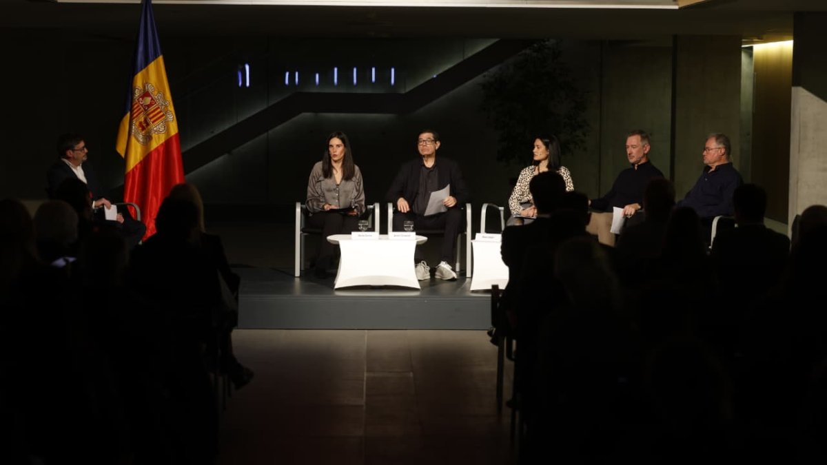 Els experts en la taula rodona celebrada aquest vespre al Consell General.