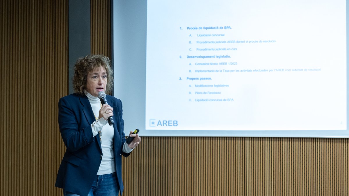 La presidenta de l'AREB, Sílvia Cunill, en la compareixença avui al Consell General