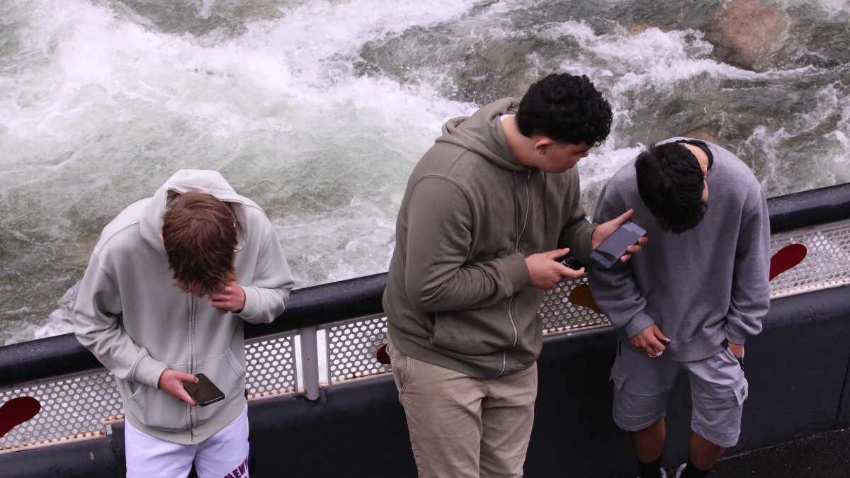 Les principals xarxes permeten obrir un compte als 13 anys.