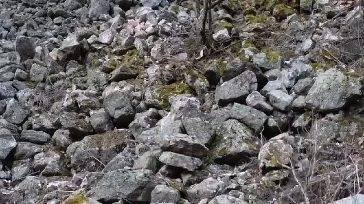 Roques de l'esllavissada a l'RN20.