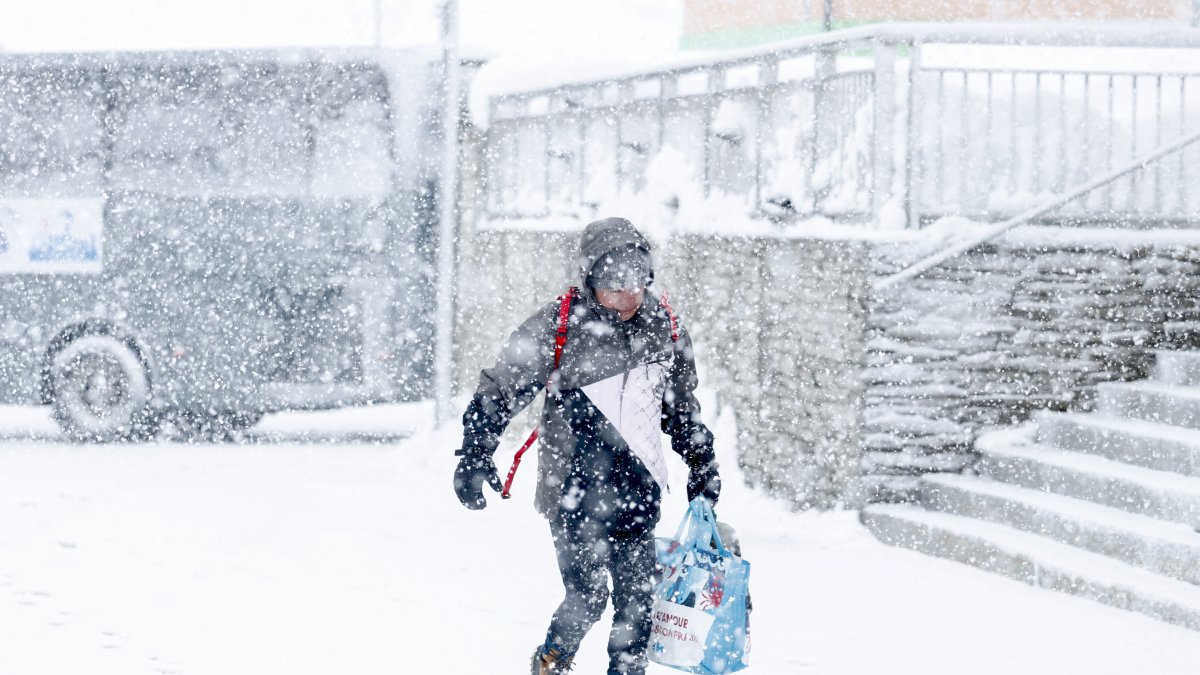 Vianant amb la compra sota la neu