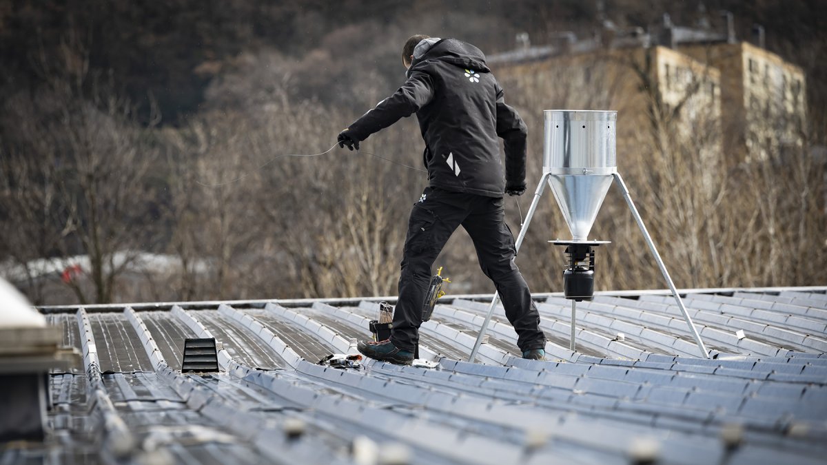 Un treballador comunal instal·lant un dispensador de pinso en una taulada.

Foto: Comú d'Andorra la Vella/Tony Lara