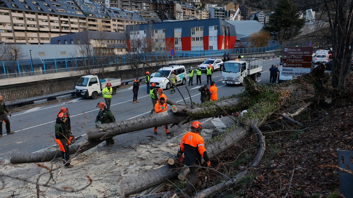 Operaris treballant per treure l'arbre caigut a la carretera General 1.