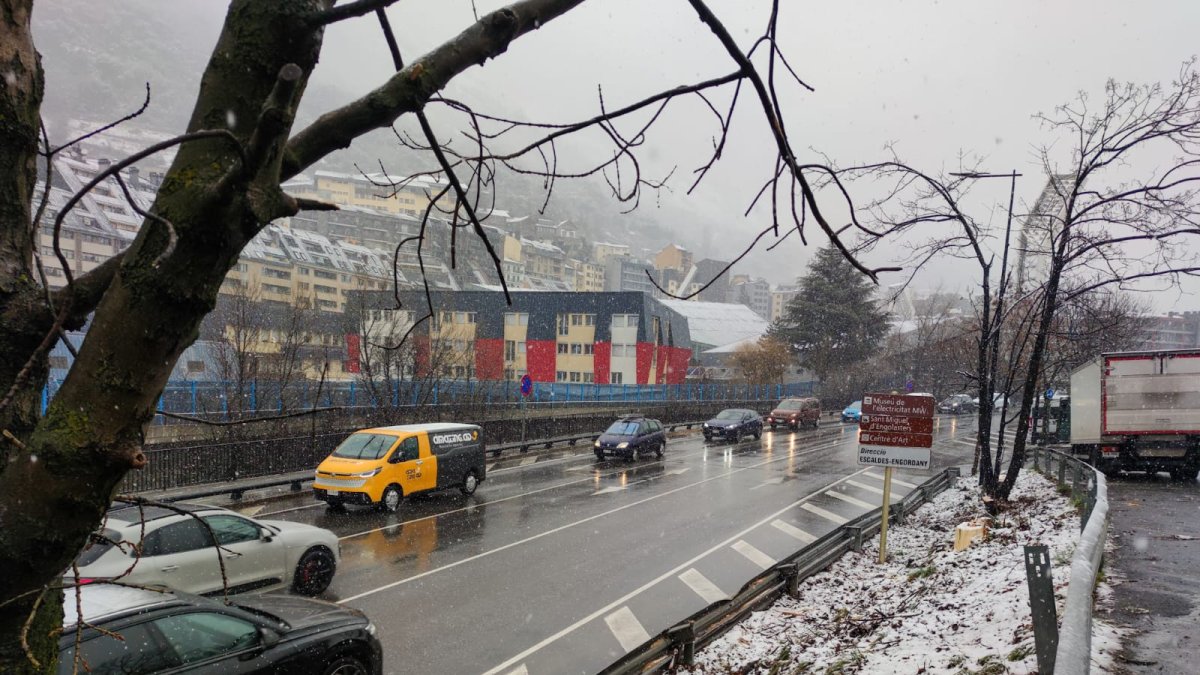 Poda d'un arbre a l'avinguda Salou per sanejar la via