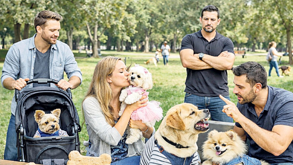 La sobreprotecció dels animals de companyia sol portar associats problemes de conducta.