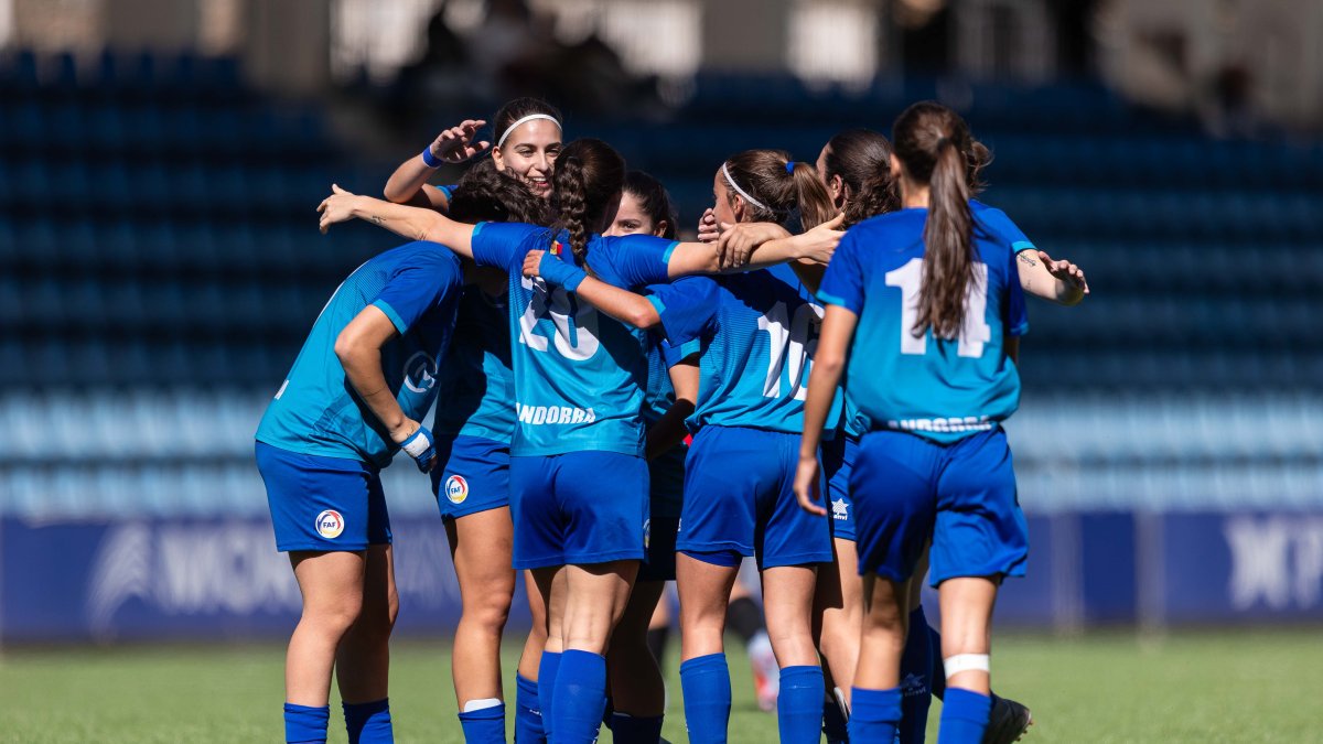 Les tricolors celebren un gol.