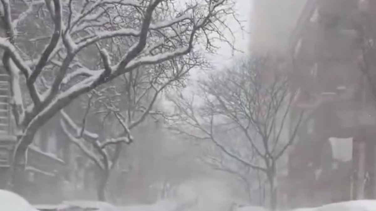 Vídeo de la gran nevada de Nova York.