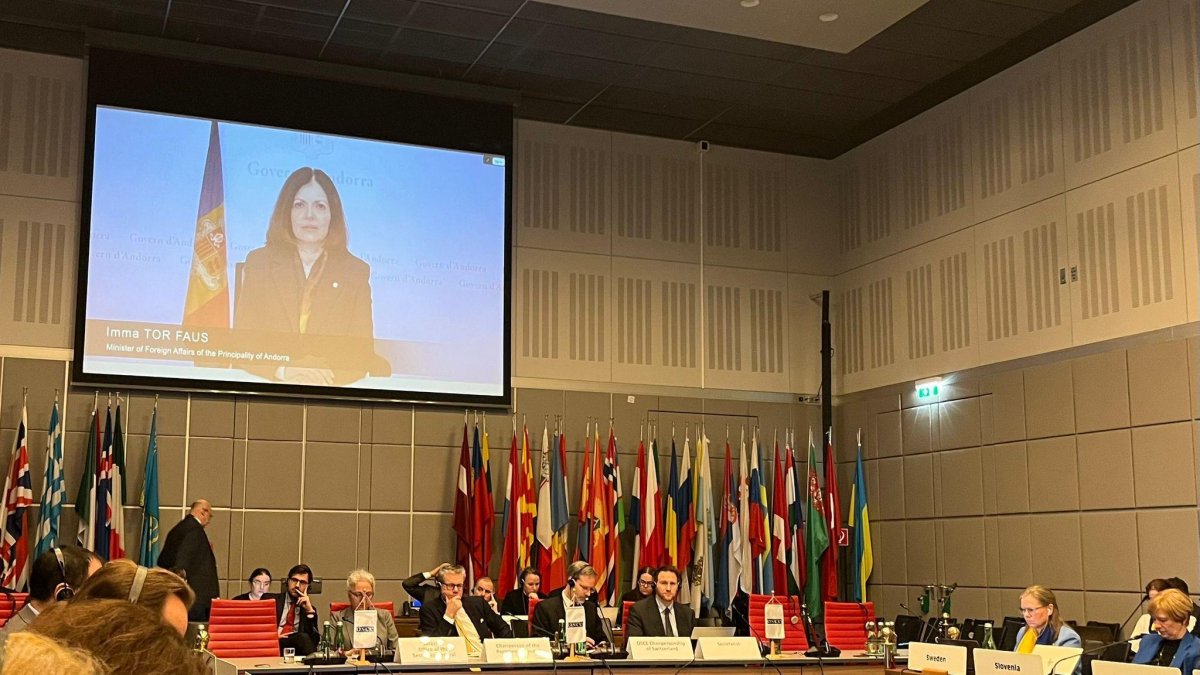 La ministra d'Afers Exteriors, Imma Tor, en la compareixença telemàtica a l'OSCE.