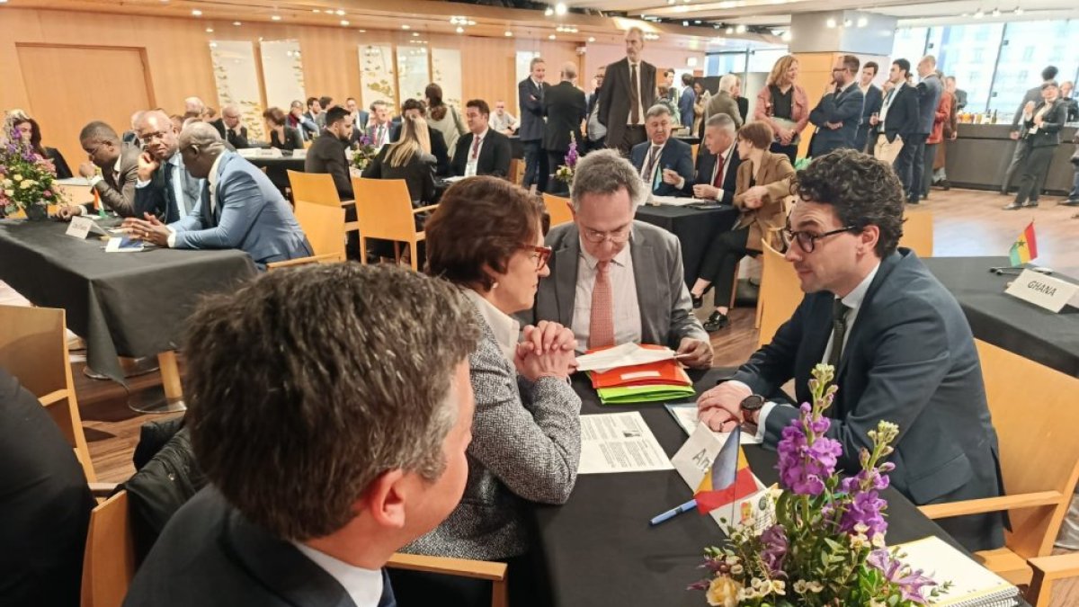 Presentació de la raça bruna a París