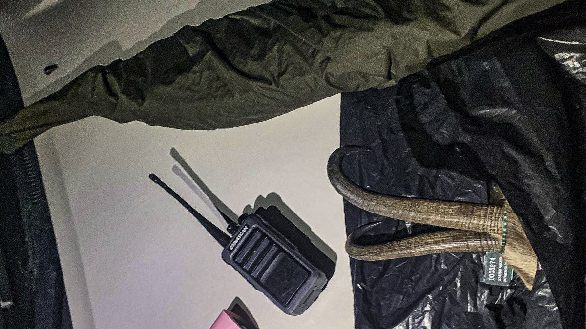 El rifle emprat, el cap de l’isard i l’emissora comissada.