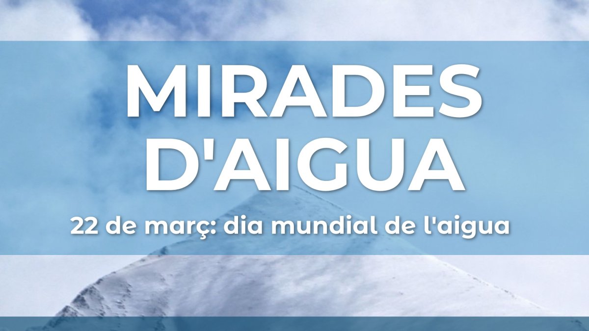 El cartell del concurs.