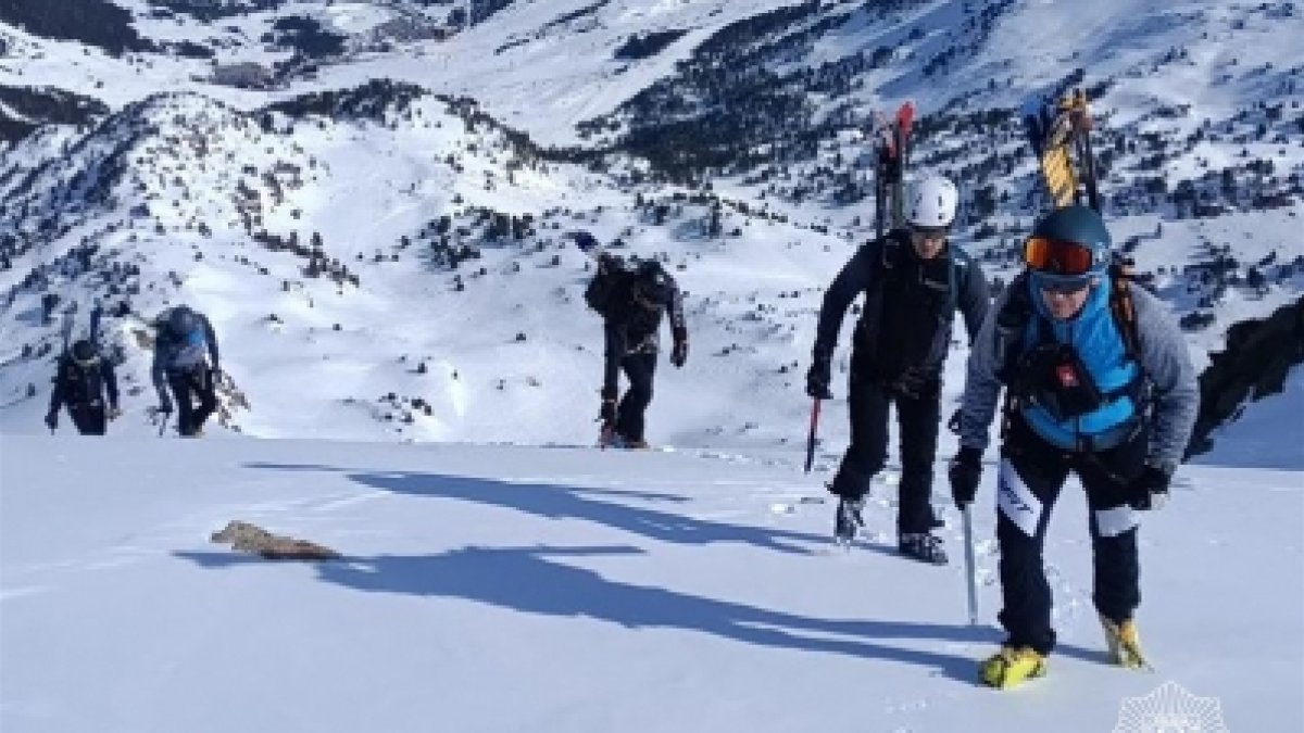 Els efectius de policia fent la formació.