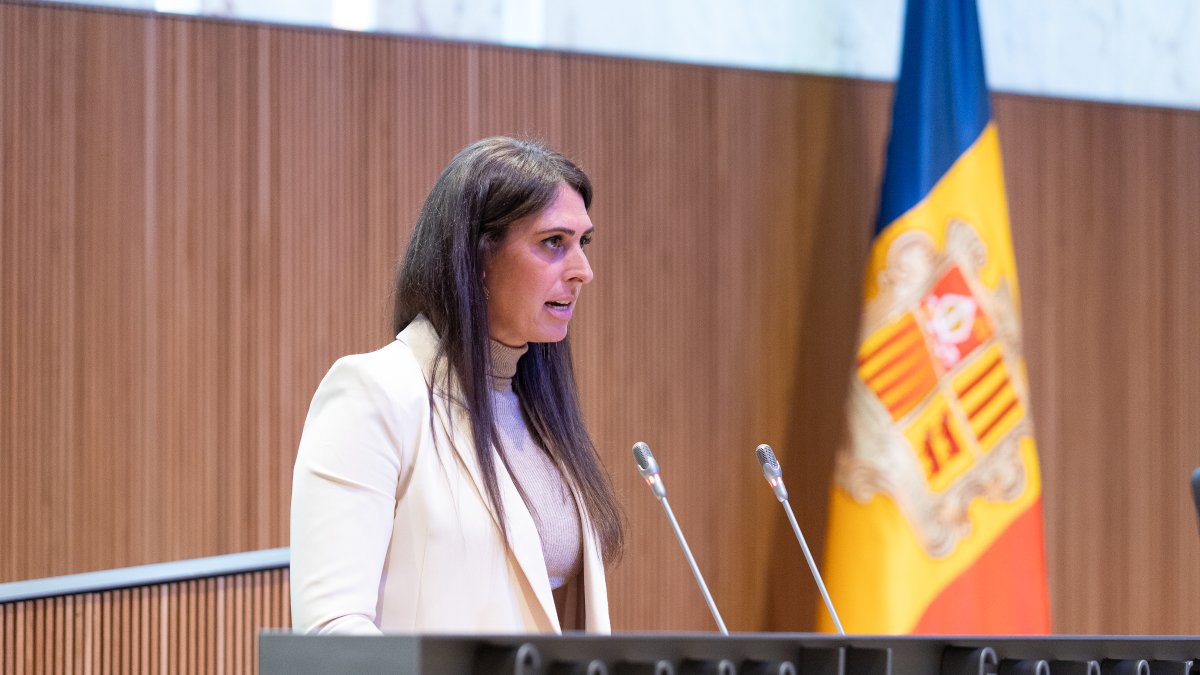 La consellera d'Andorra Endavant, Noemí Amador, al Consell General.