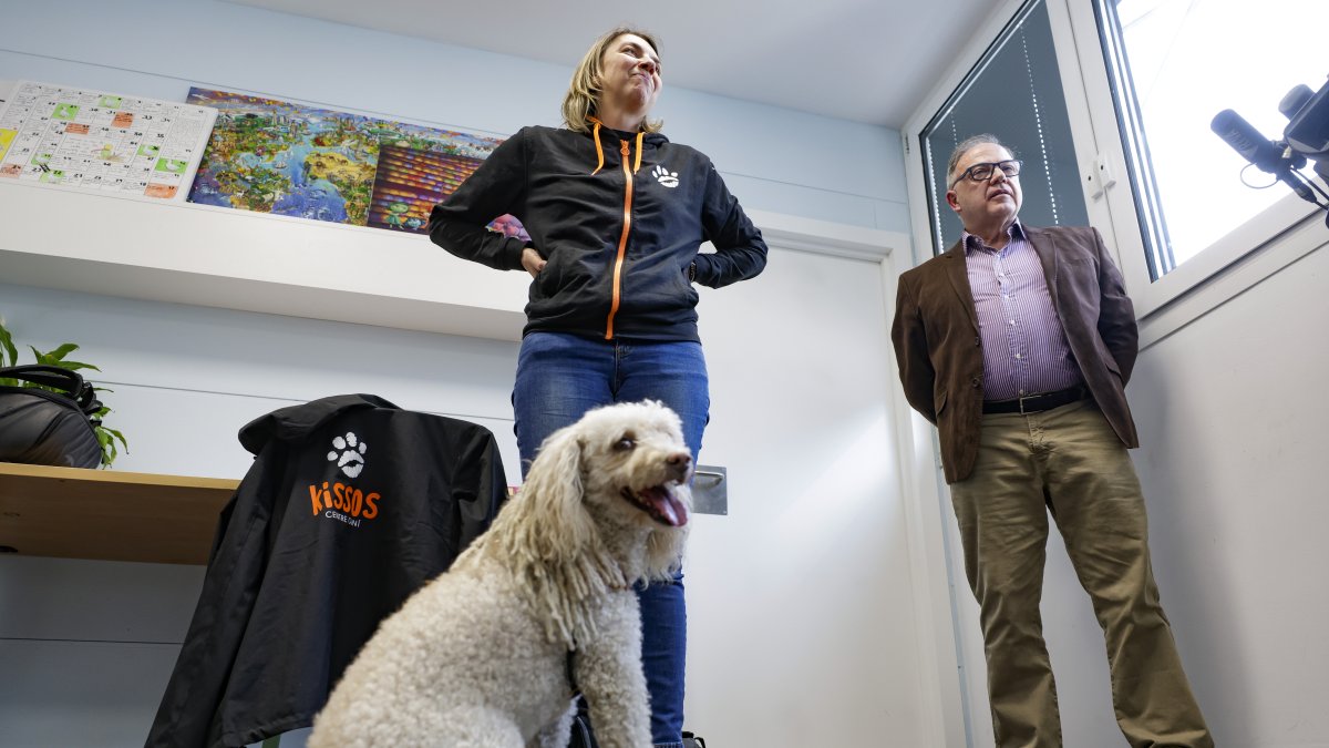 Un dels gossos de teràpia.