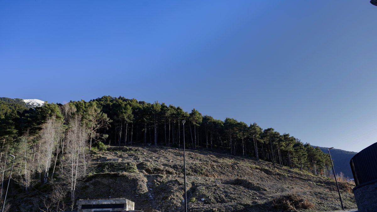 La zona on es construiran els xalets.