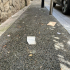 Brutícia al carrer Esteve Dolsa de la capital