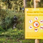 Agents rurals amb gossos a la zona afectada.