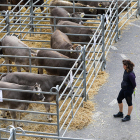 Eliminació del gravamen per importar herba