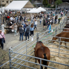 Fira del bestiar d'Ordino