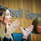 Les ministres Mas i Marsol van donar explicacions al Consell sobre la caiguda del projecte.