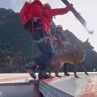 Uns bombers amb el gos ensinistrat van cap a l’helicòpter per fer el rescat, ahir.