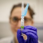 La vacunació es recomana per a grups vulnerables com la gent gran.