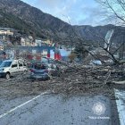 Cotxe afectat per la caiguda de l'arbre