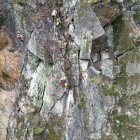 Treballadors enfilats al bloc rocós.